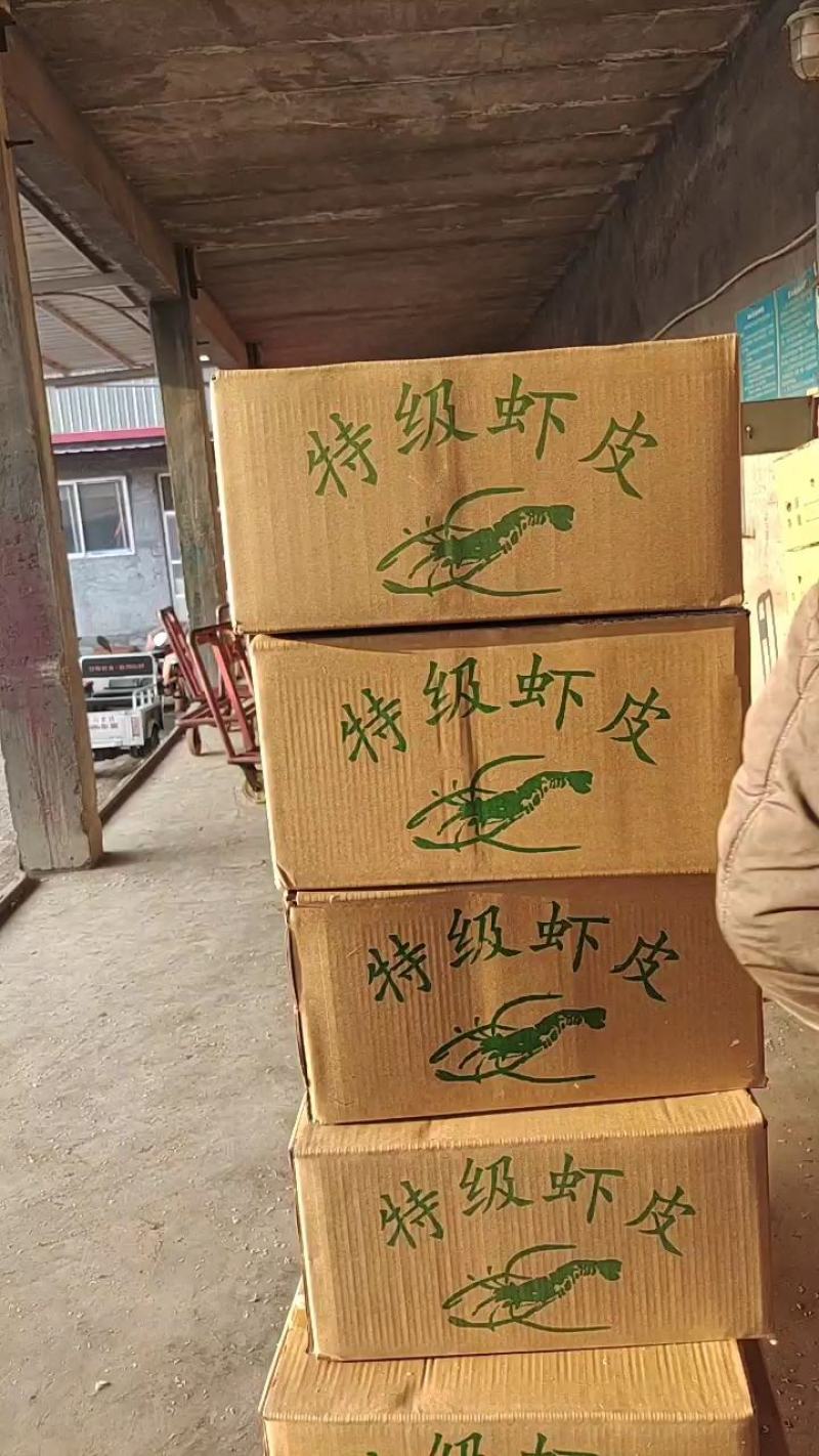 淡干无盐虾皮高中低档规格齐全价位理想拼单电商批发商需