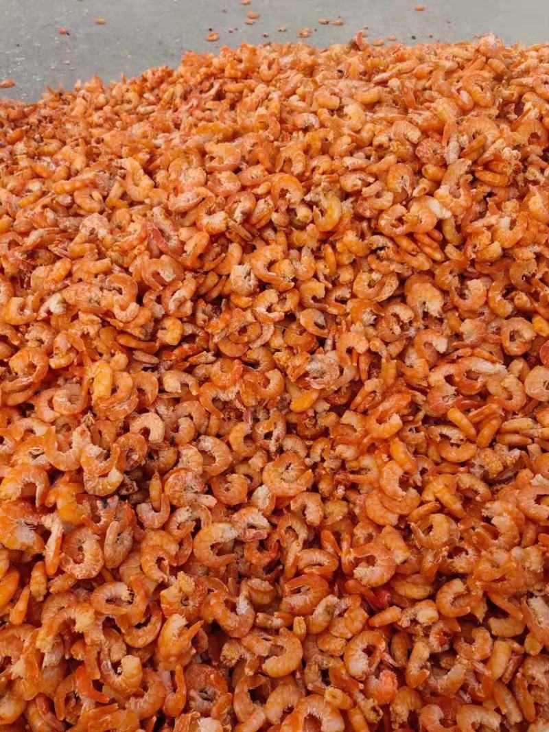 精品虾仁海米对虾仁对虾米金钩米石岛米淡干不咸产地直销渤海