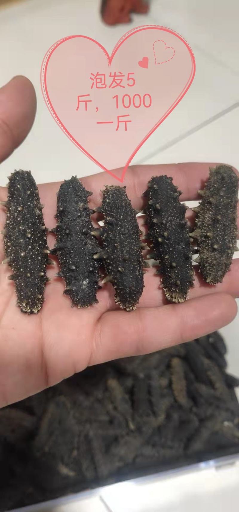 【精品】淡干海参干参刺参辽参大量现货全规格，质量有保证