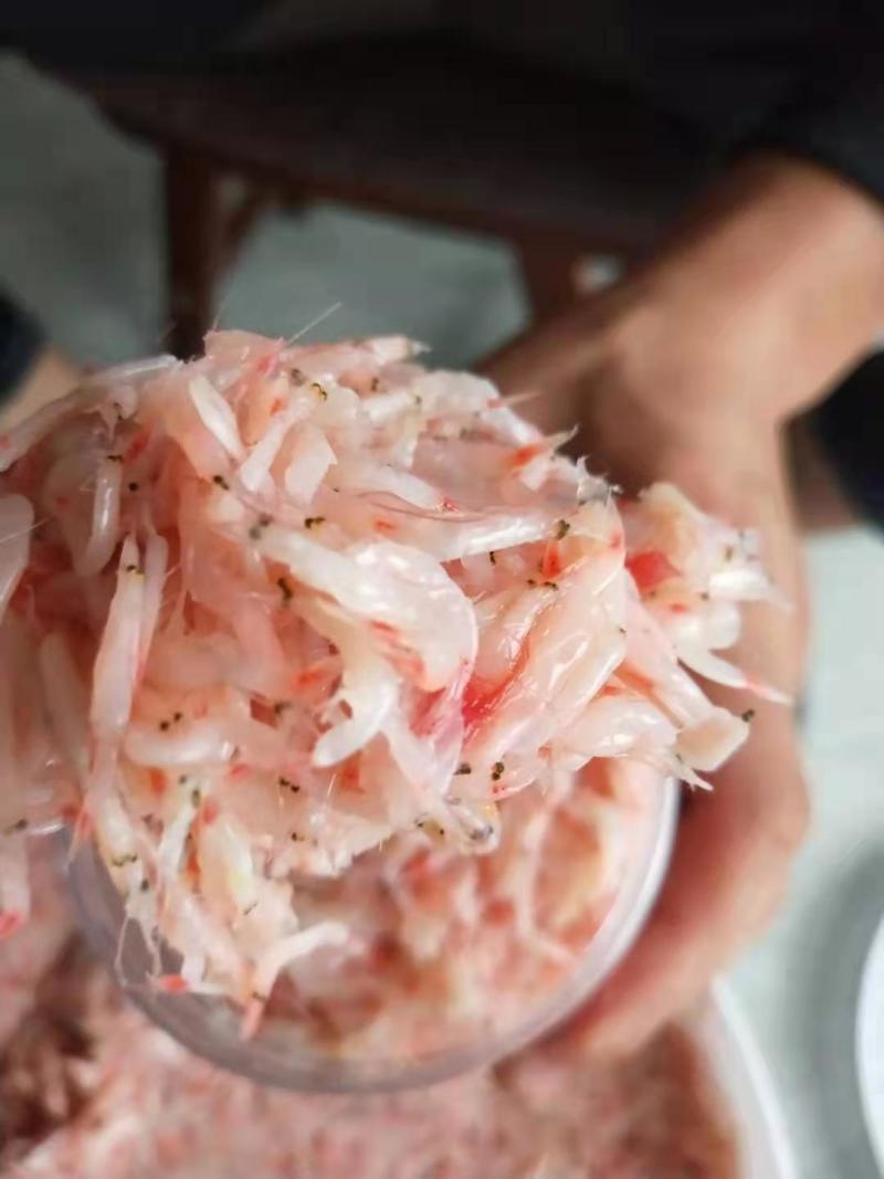 【虾酱】精品渤海湾原产地（纯手工发酵）只做精品淡干