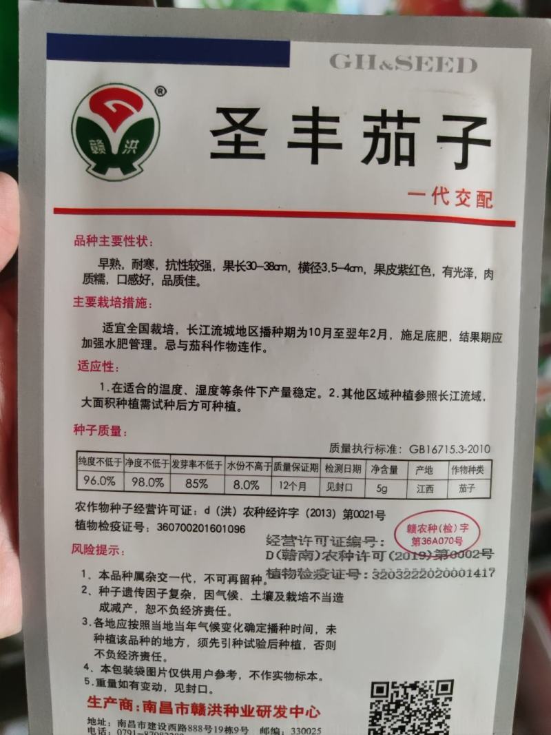 茄子种子