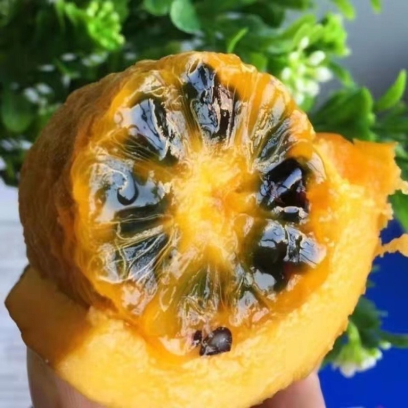 2o21年新鲜冬笋一手货源，大量供应