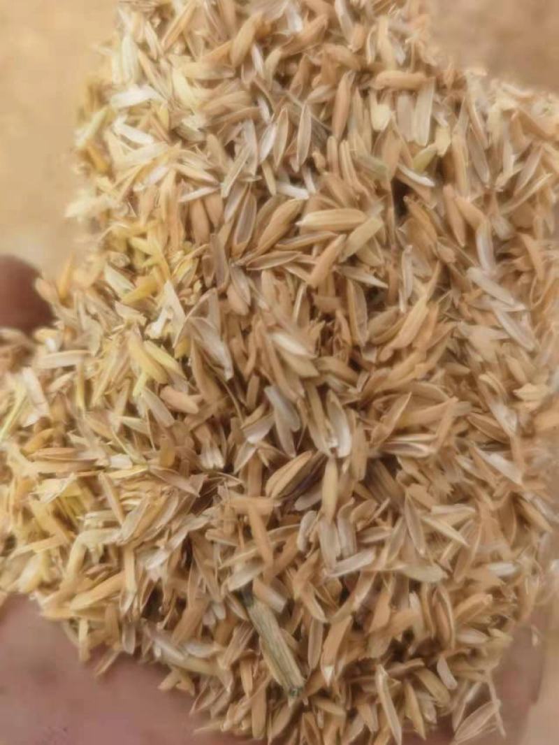 稻壳，地区。压缩，散包，除尘过筛，各种规格，常年有货