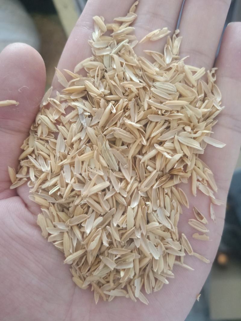 稻壳，地区。压缩，散包，除尘过筛，各种规格，常年有货