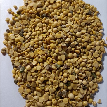 优质豆瓣3级