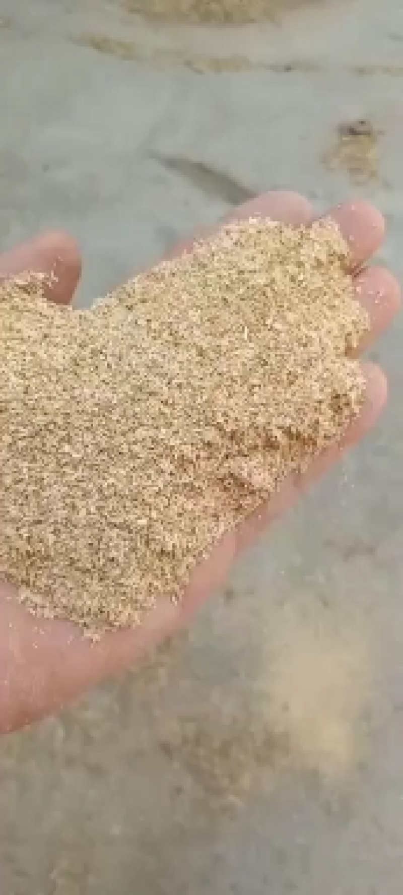 米糠，油糠，三七糠，各种规格，，常年有货，米厂直供