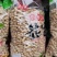柴火炒花生，四粒红各种口味，货发全国，一手货源电商快消品
