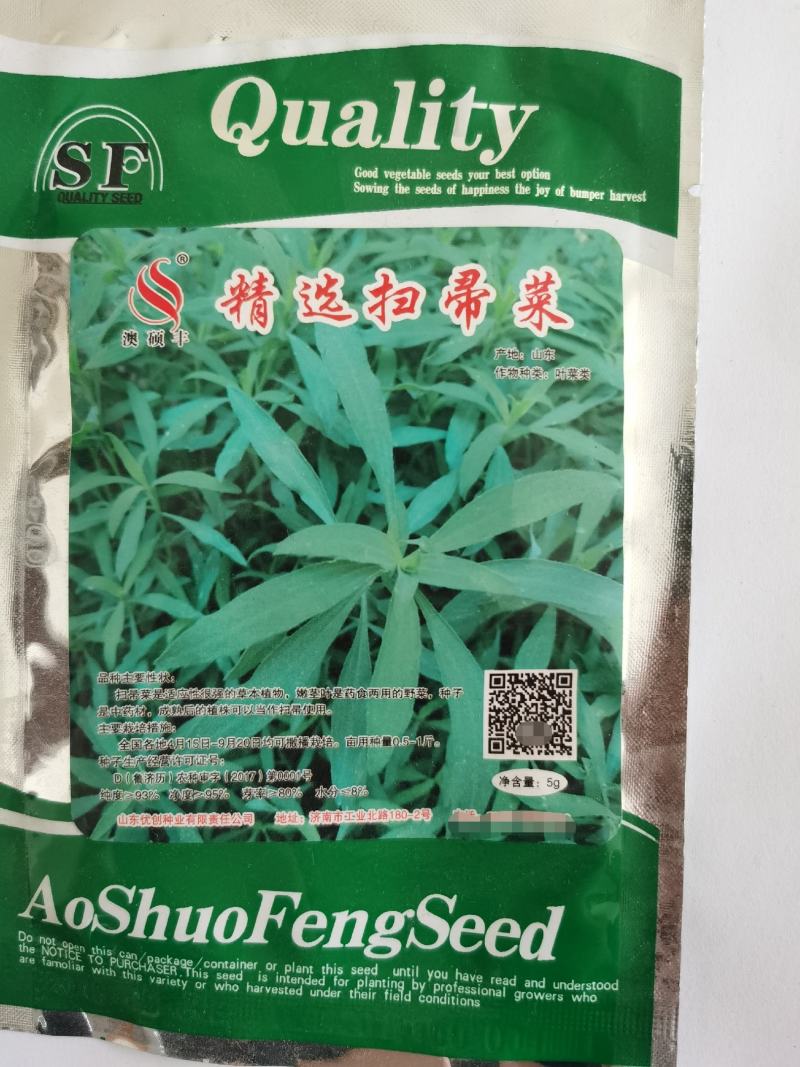 地肤种子四季野菜种子扫除菜籽铁扫除籽