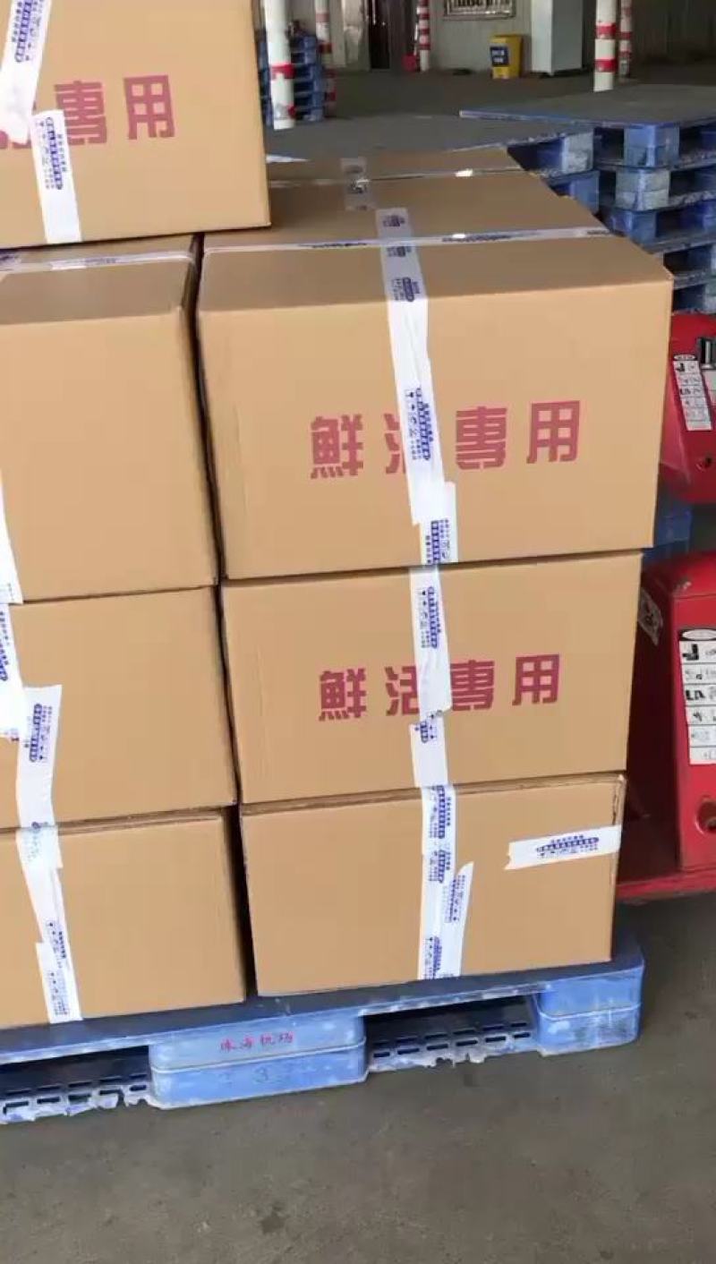 罗氏虾虾苗罗氏沼虾虾苗长臂虾淡水虾苗