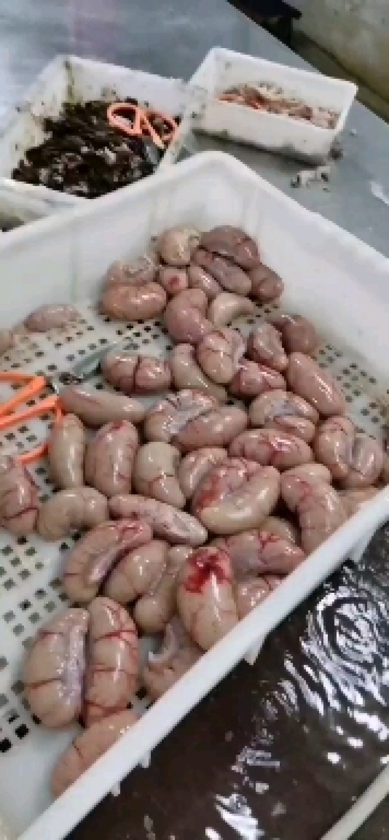 鸭腰子