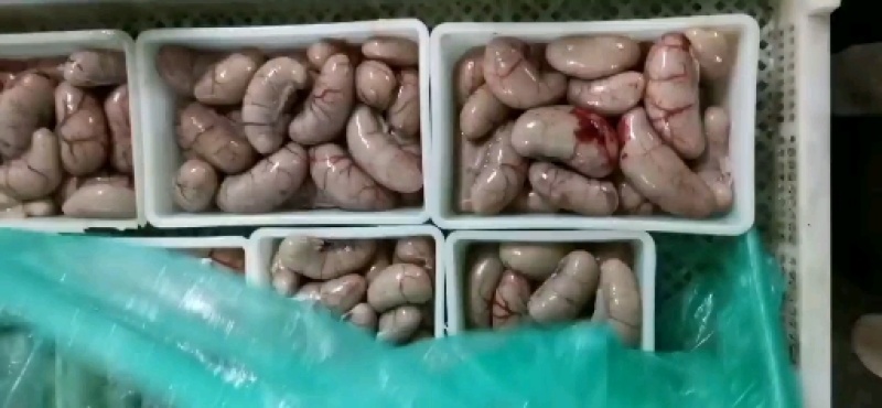 鸭腰子