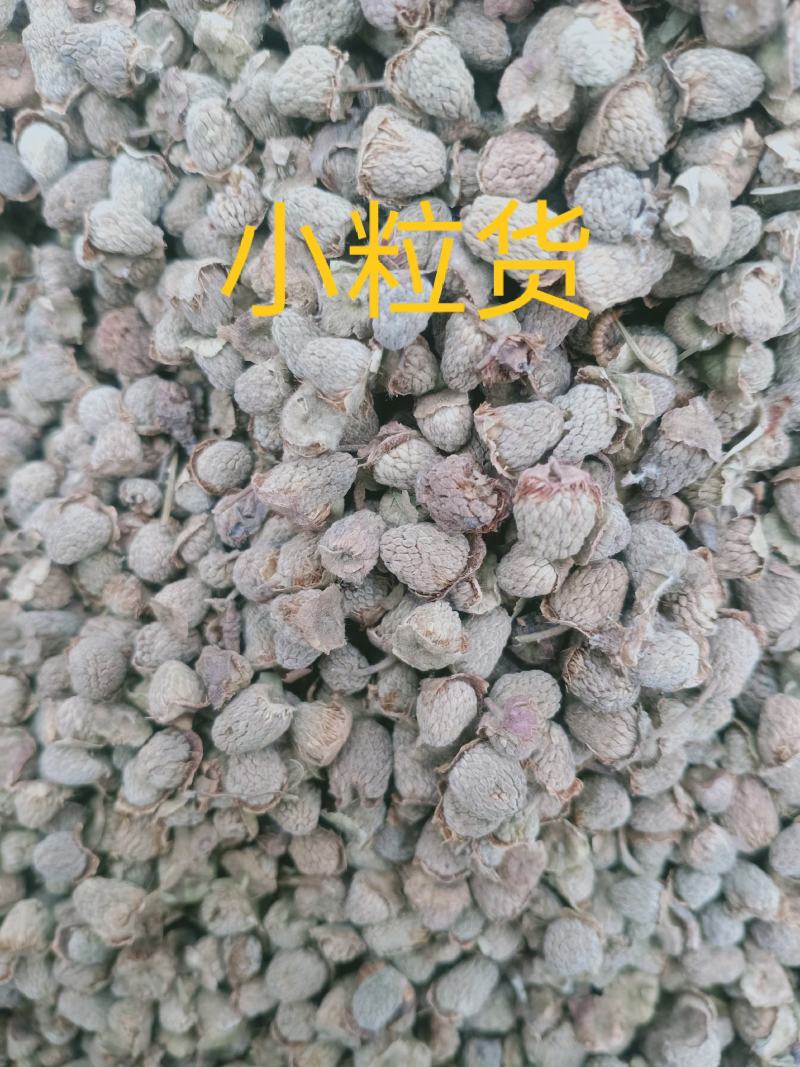 复盆子，覆盆子正品野生复盆子，质量保证！欢迎咨询购买！