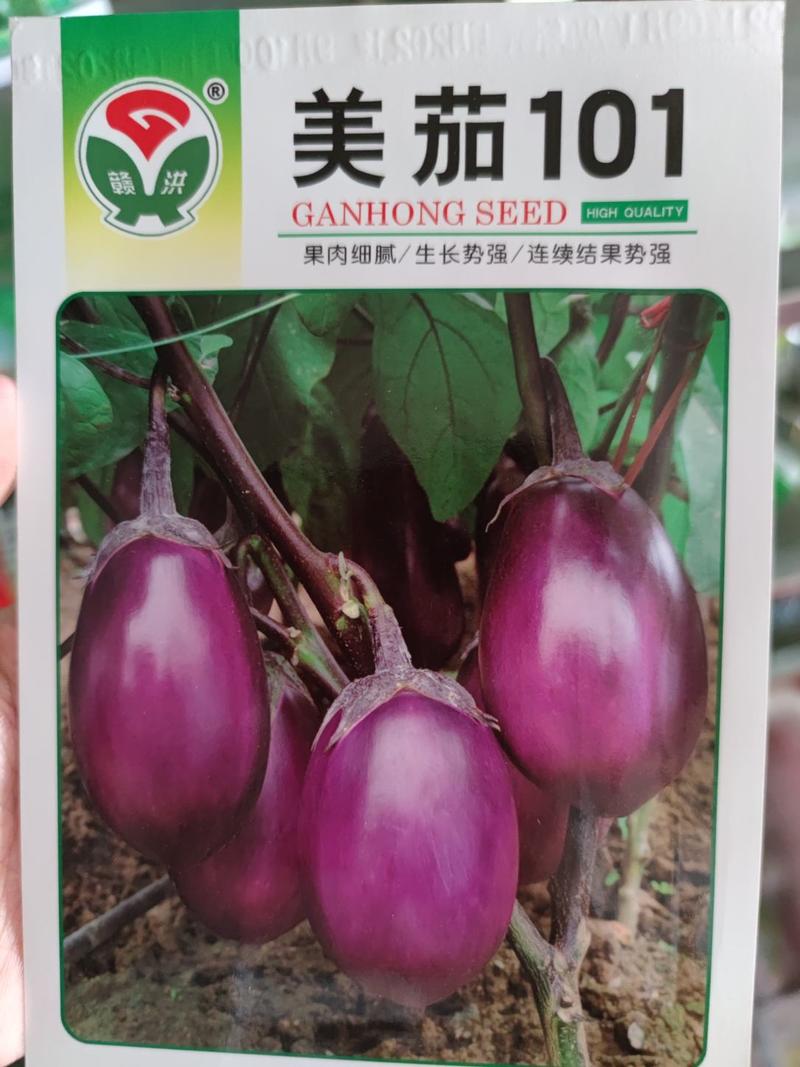 美茄101茄子种子果实卵圆形,紫红色光泽好单果重300克