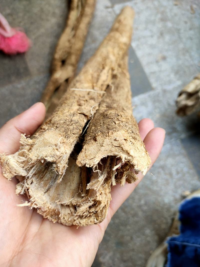 广西野生中药材五味藤皮/丢了棒/一摩消/一抹消，全皮选装