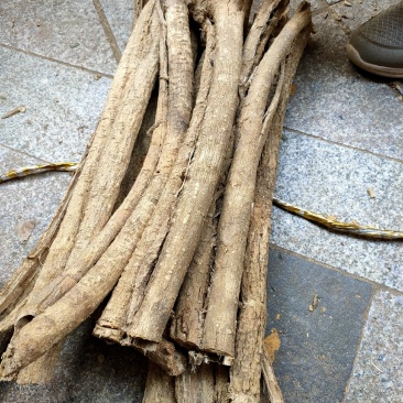 广西野生中药材五味藤皮/丢了棒/一摩消/一抹消，全皮选装