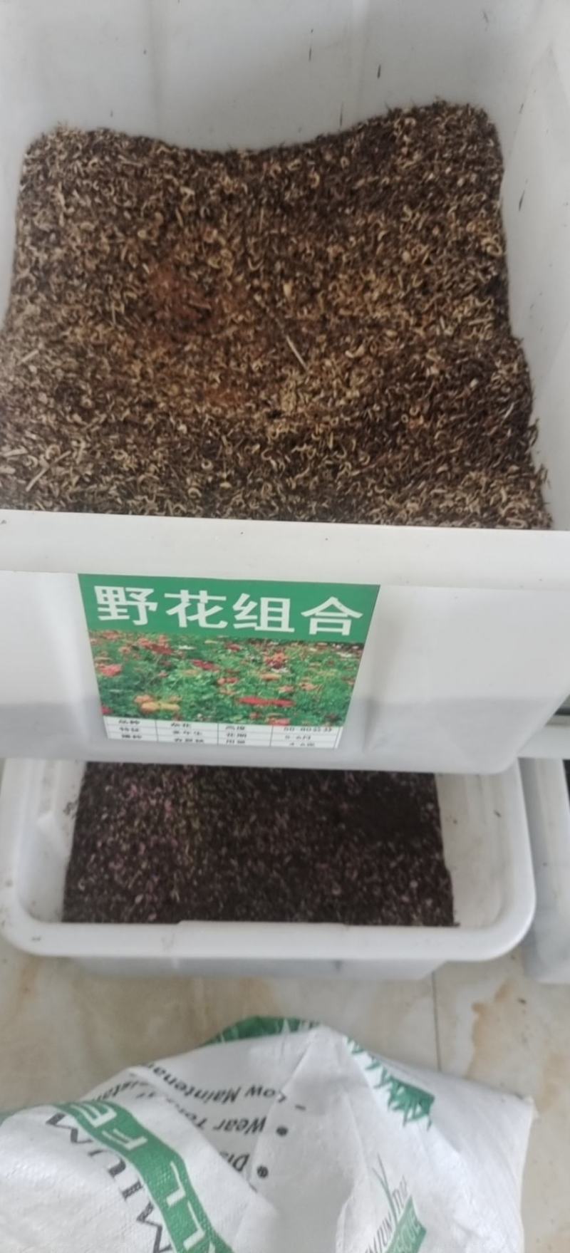 野花组合种子20多种野花组合在一起出芽率高
