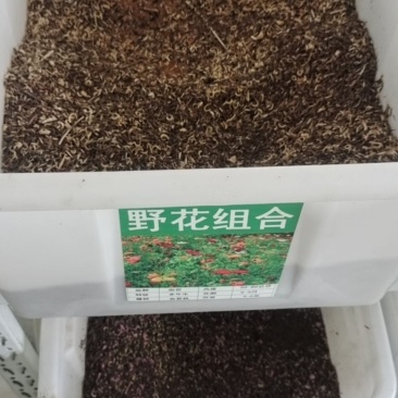 野花组合种子20多种野花组合在一起出芽率高