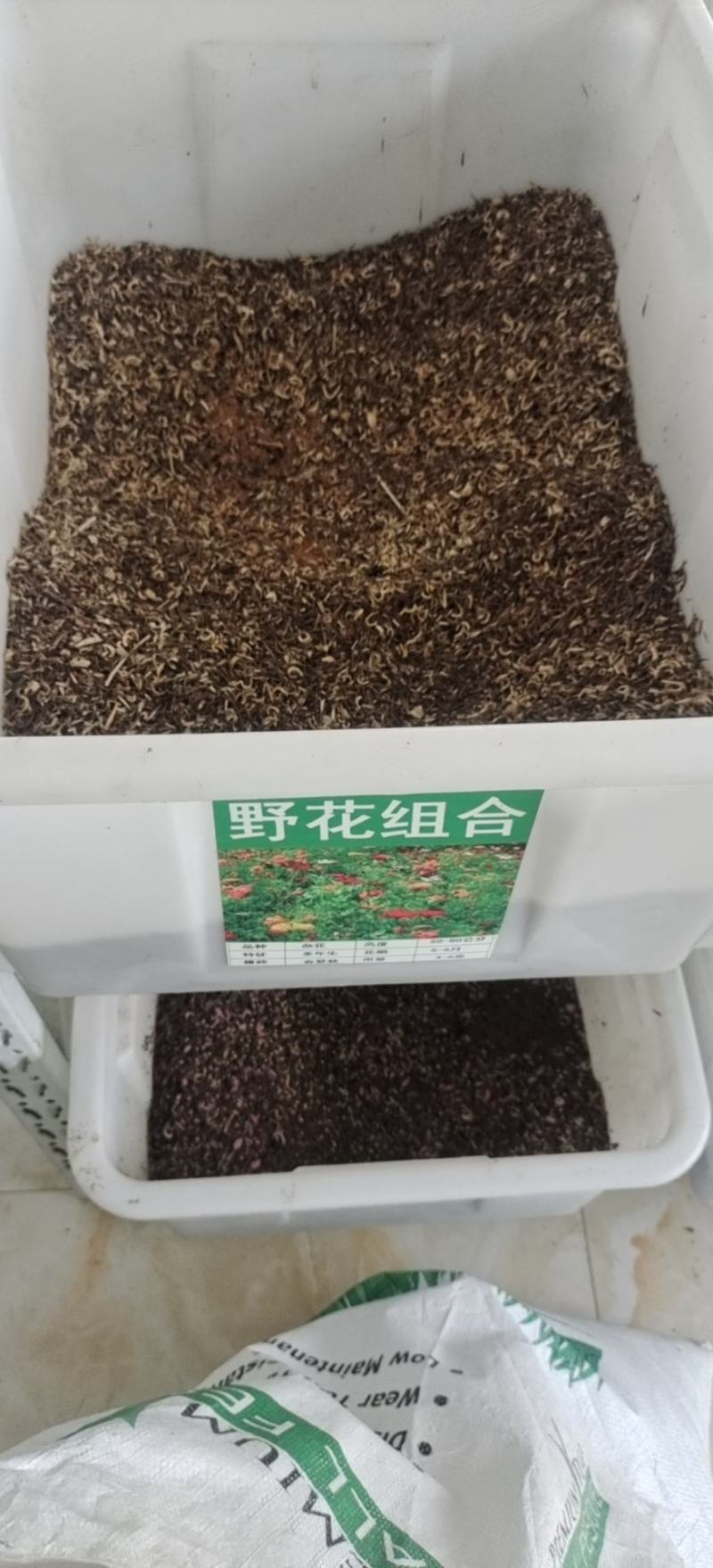 野花组合种子20多种野花组合在一起出芽率高