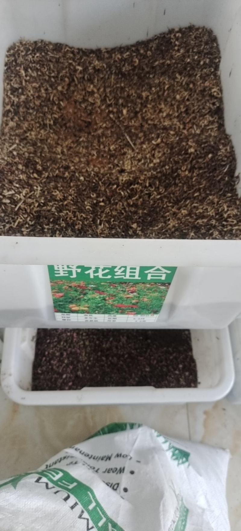 野花组合种子20多种野花组合在一起出芽率高