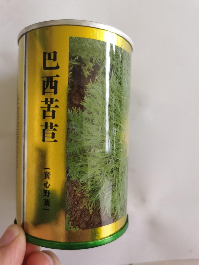 苦苣种子黄芯碎叶50克春秋四季细叶苦菊种籽基地大田种植
