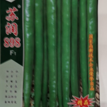 苏润898