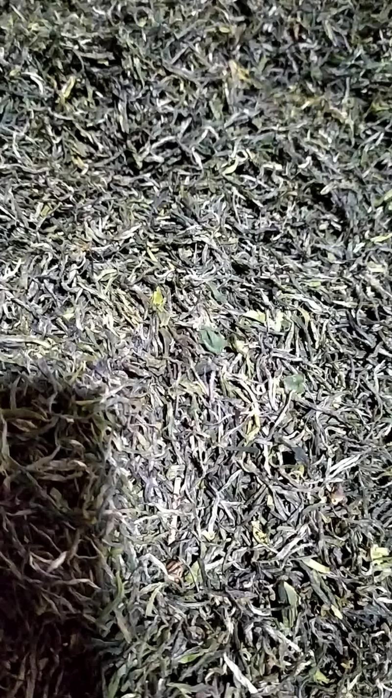 将军县各种绿茶