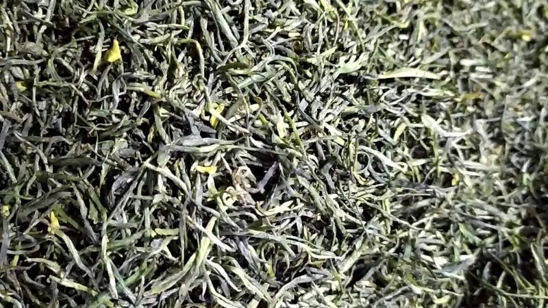 将军县各种绿茶