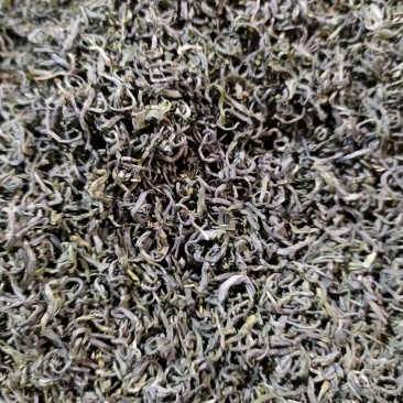 将军县各种绿茶