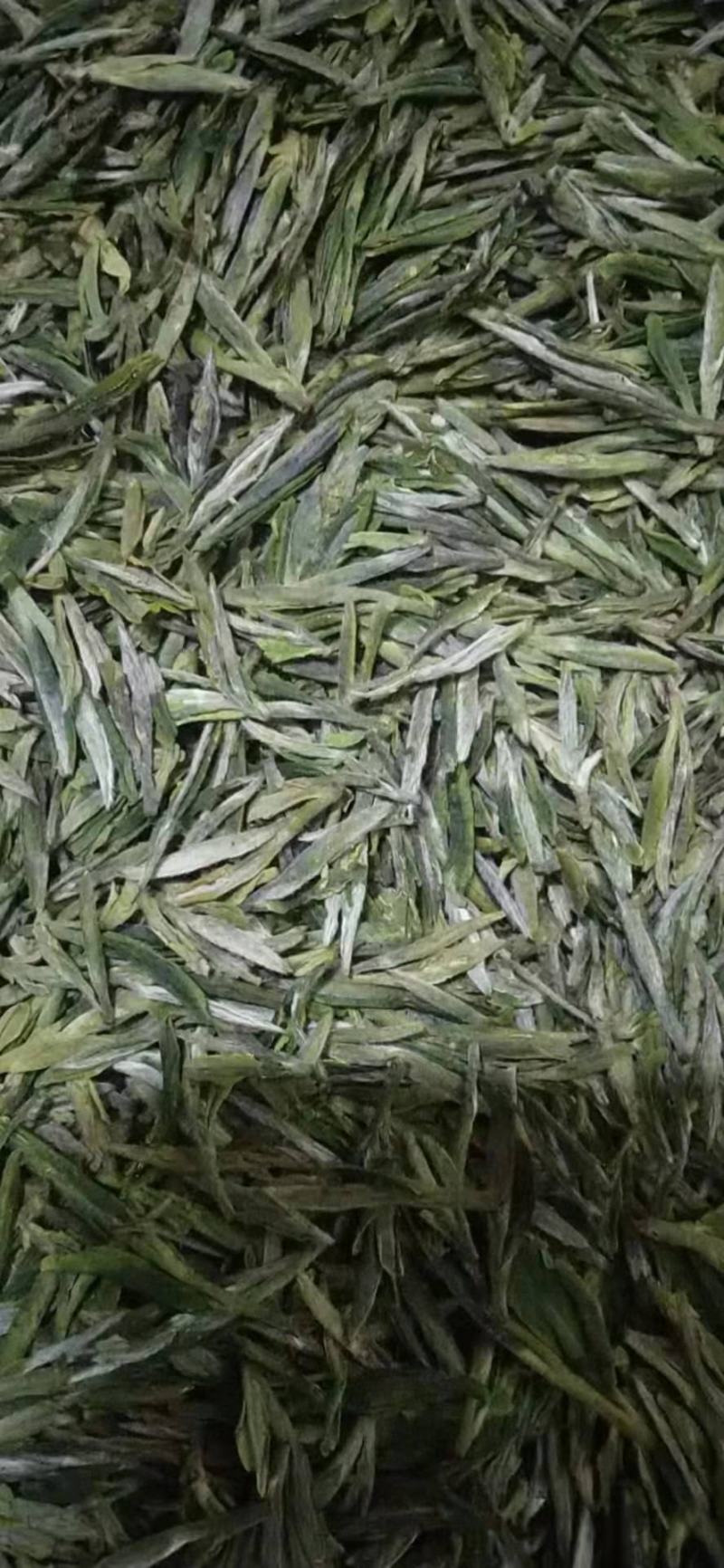 将军县各种绿茶