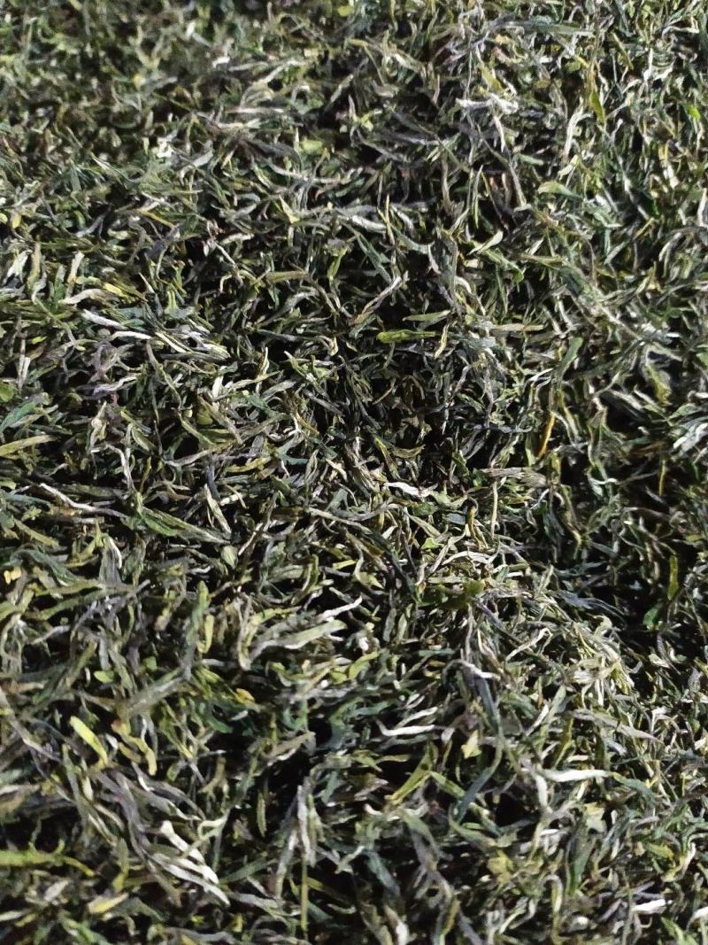 将军县各种绿茶