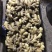 生姜产地批发，电商供货，鲜姜上市大黄姜一手货源