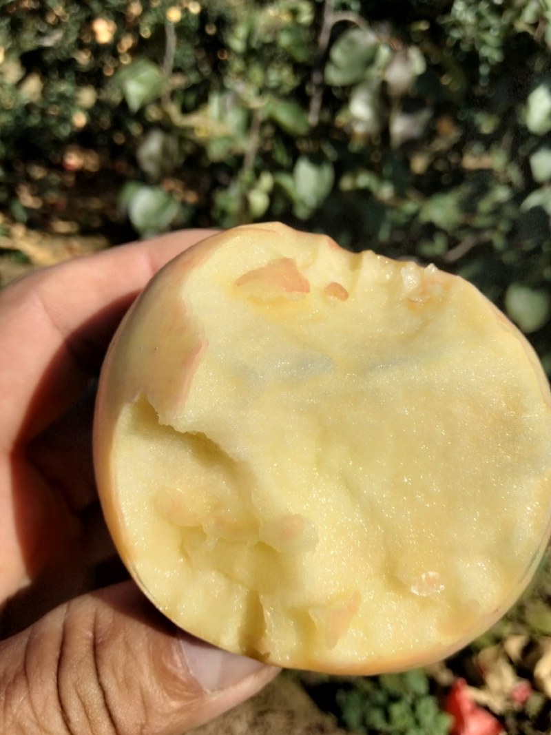 产地货源大量有货