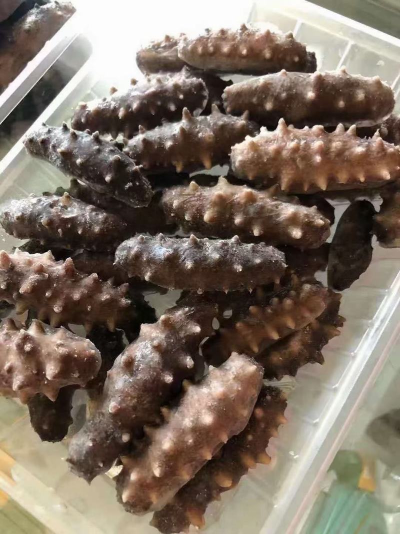 即食海参精品特级海参米刺刺参辽参礼盒装全规格高口感Q弹