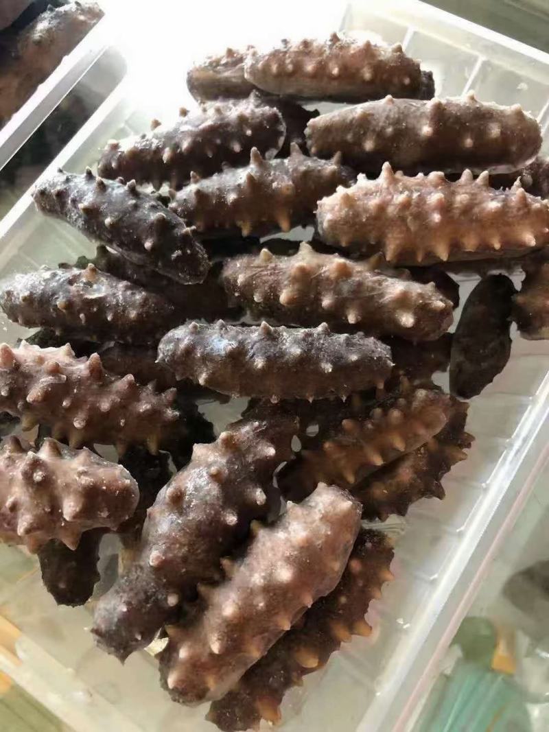 即食海参精品特级海参米刺刺参辽参礼盒装全规格高口感Q弹