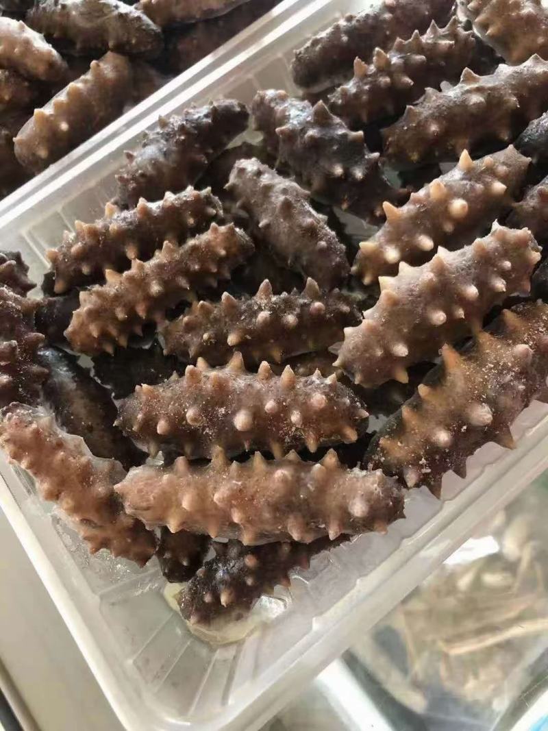 即食海参精品特级海参米刺刺参辽参礼盒装全规格高口感Q弹