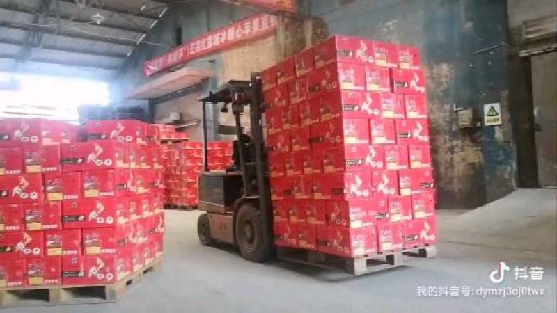 骏枣干枣二级灰枣原枣天然风干无添加产地直供皮