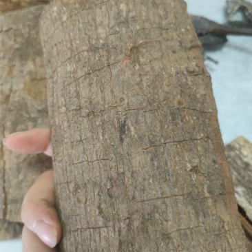 卡宾达树皮泡酒料各种规格大量供应一件代发