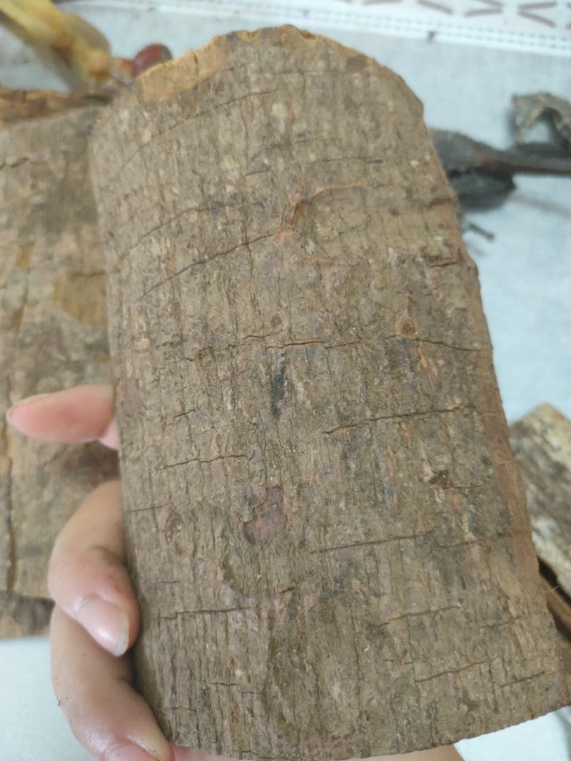 卡宾达树皮泡酒料各种规格大量供应一件代发