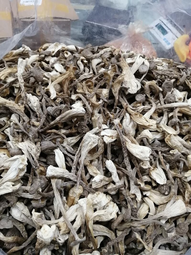 鹿茸菇鹿茸菇干货鹿茸菇大货批发一手货源