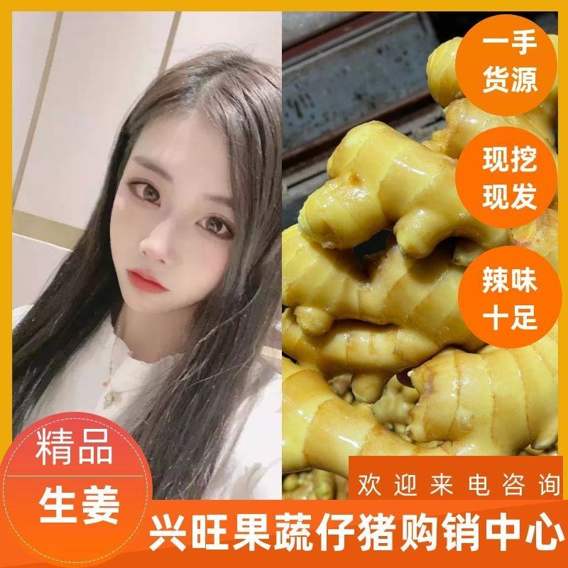 山东优质高产姜种大量有货货源充足全国发货