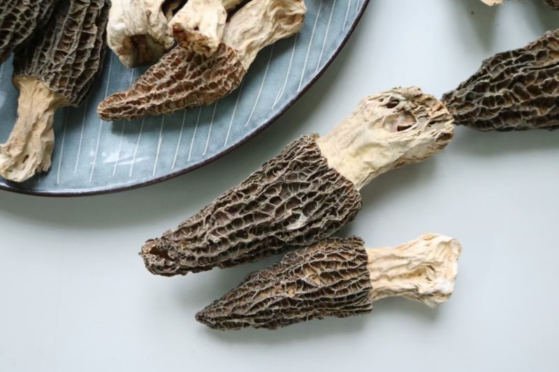 AA特大号羊肚菌颜色好很厚肉均匀全部大个头
