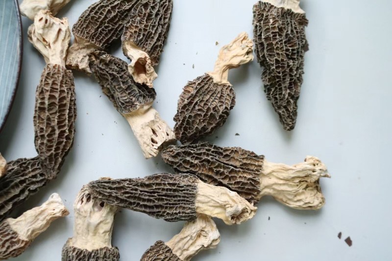AA特大号羊肚菌颜色好很厚肉均匀全部大个头