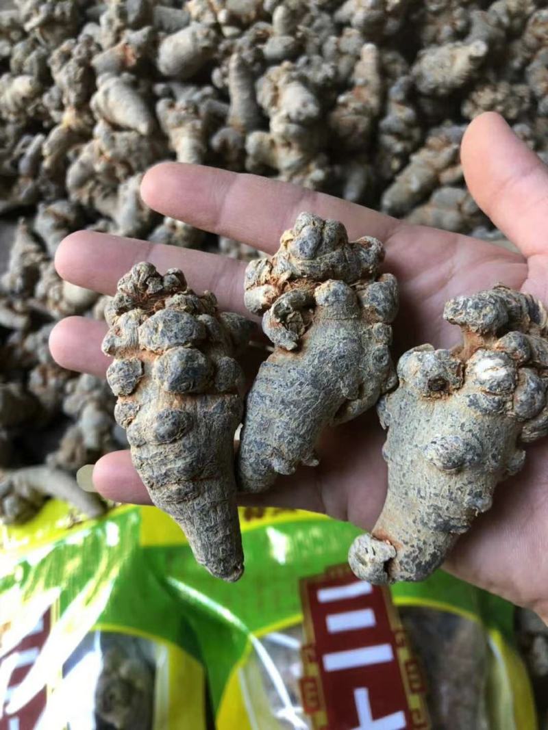 正宗云南文山三七