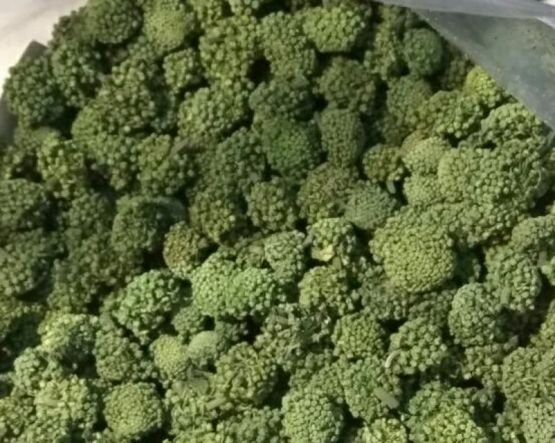 正宗云南文山三七