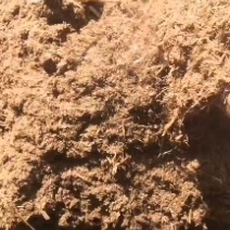 小麦秸秆下脚料，有机肥辅料，水分，10左右超级干
