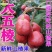 新品种甜山楂树苗价格甜红山楂苗黄山楂苗大果山楂树苗