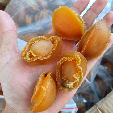 大连特级精品鲍鱼干货佛跳墙原材料淡晒煲汤海产品酒店专用级