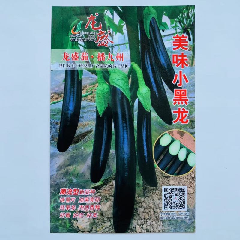 绿把紫黑茄种子龙盛传奇天龙早熟杂交品种种子