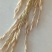 野香优航1573米质油青香味浓郁烘干，农户晒干大量有货。