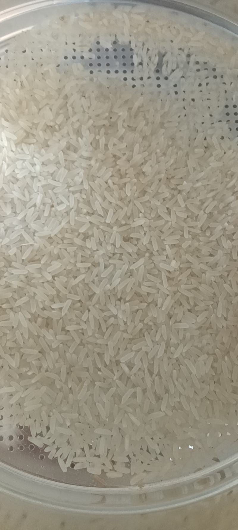 野香优航1573米质油青香味浓郁烘干，农户晒干大量有货。